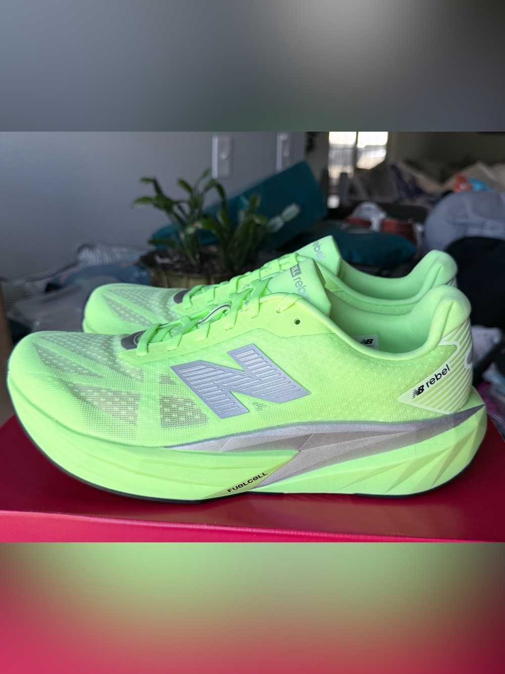 New Balance FuelCell Rebel v5